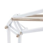 LAMPADA CRESPINA BIANCA - immagine 3